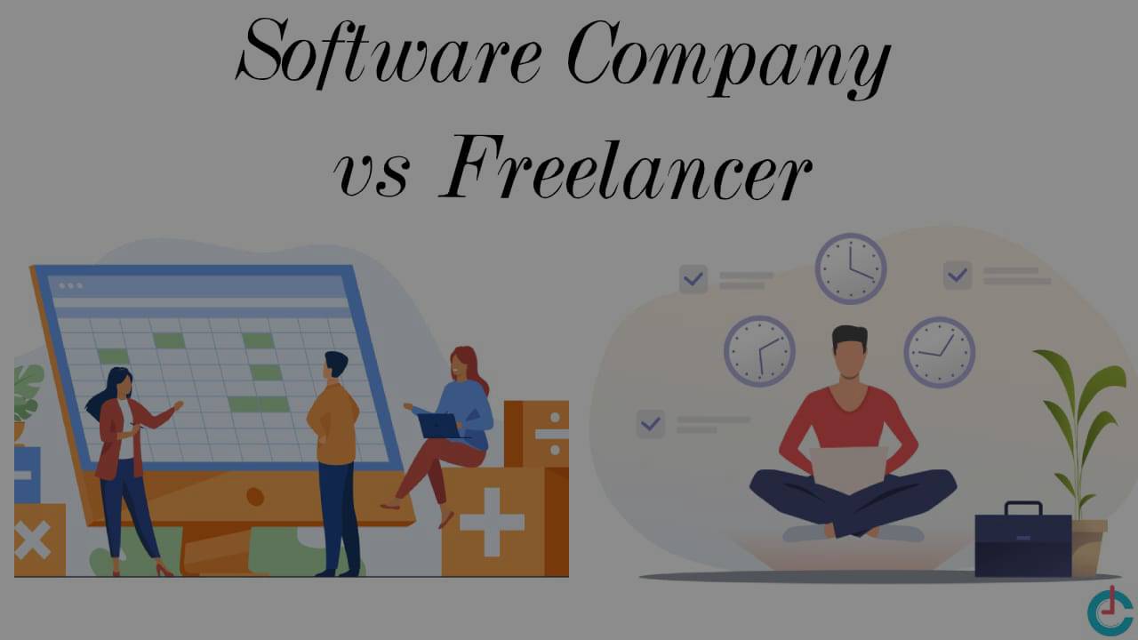 Hire a Software House or Freelancer – What’s Better in 2025?